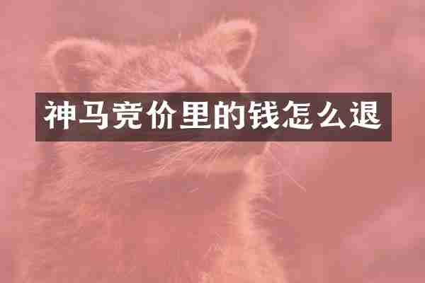 神马竞价里的钱怎么退