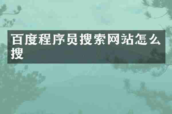 百度程序员搜索网站怎么搜