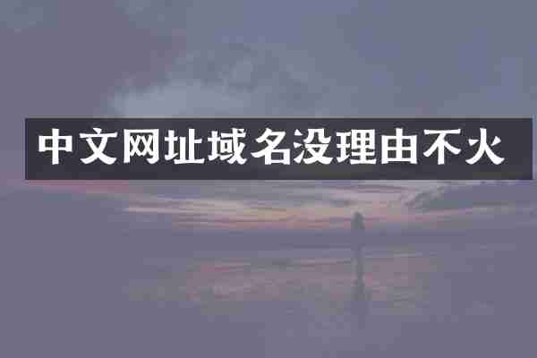 中文网址域名没理由不火