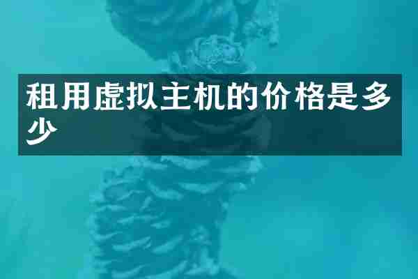 租用虚拟主机的价格是多少