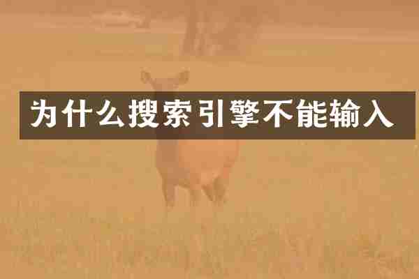 为什么搜索引擎不能输入
