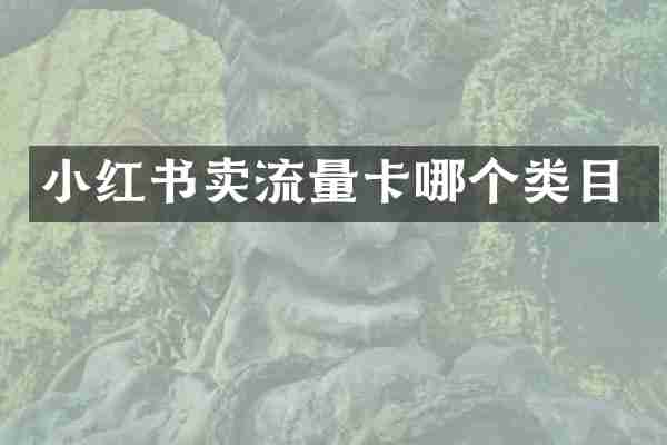 小红书卖流量卡哪个类目