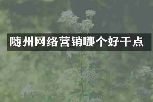 随州网络营销哪个好干点