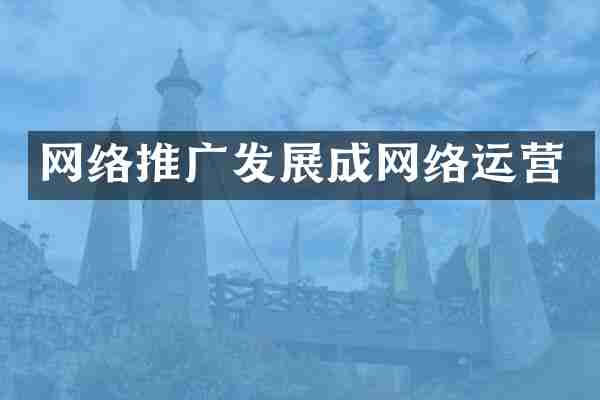 网络推广发展成网络运营
