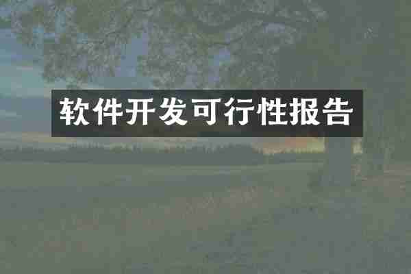软件开发可行性报告