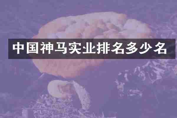 中国神马实业排名多少名