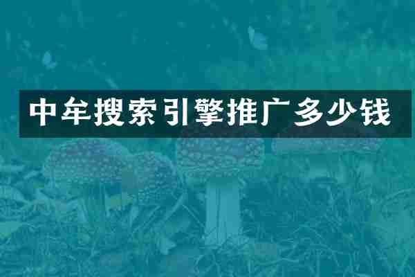 中牟搜索引擎推广多少钱