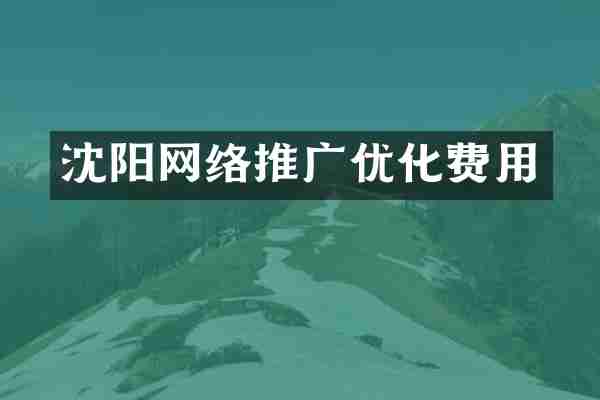 沈阳网络推广优化费用