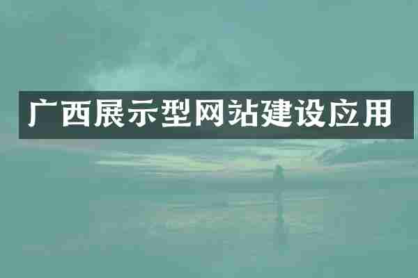 广西展示型网站建设应用