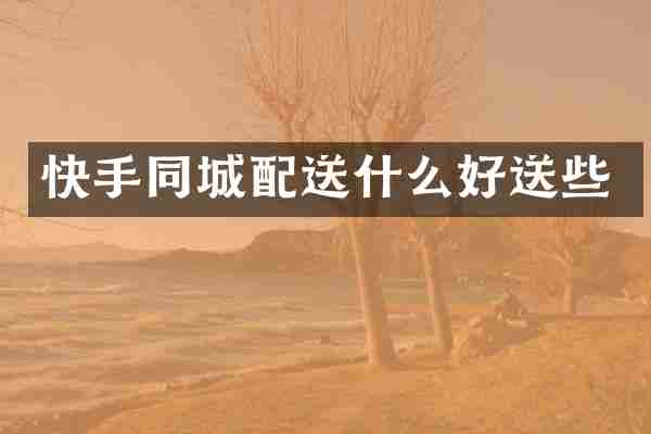 快手同城配送什么好送些
