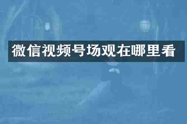 微信视频号场观在哪里看
