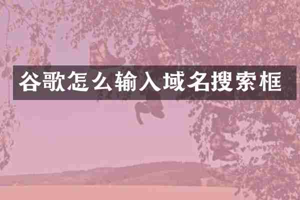 谷歌怎么输入域名搜索框