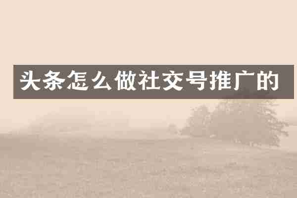头条怎么做社交号推广的
