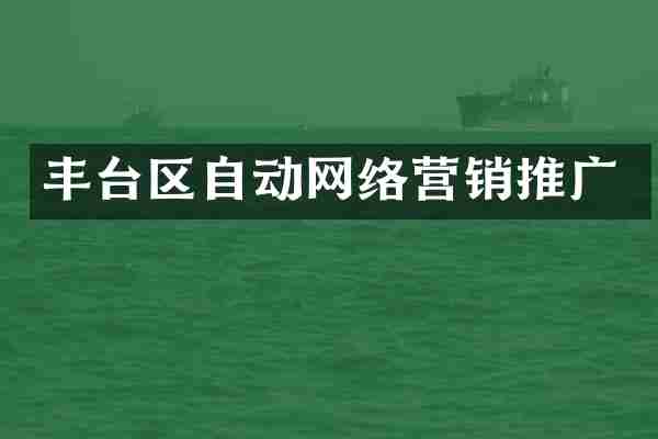 丰台区自动网络营销推广