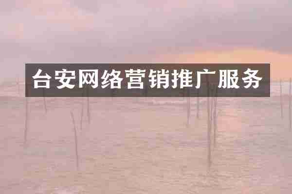 台安网络营销推广服务