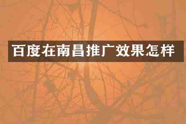 百度在南昌推广效果怎样