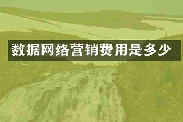 数据网络营销费用是多少
