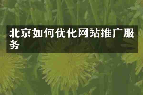 北京如何优化网站推广服务