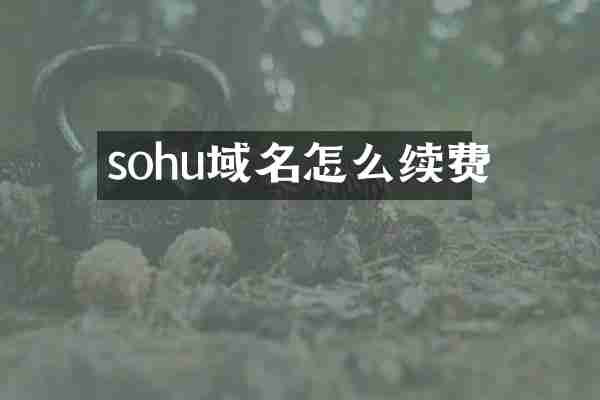 sohu域名怎么续费