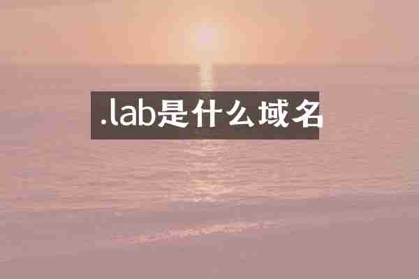 .lab是什么域名