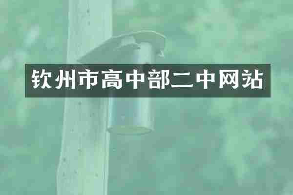 钦州市高中部二中网站