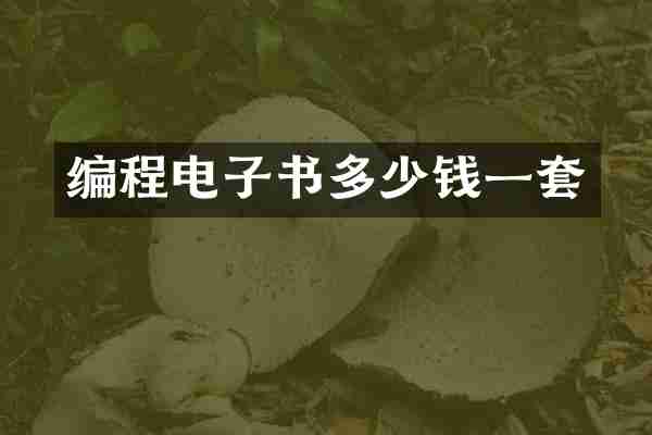 编程电子书多少钱一套