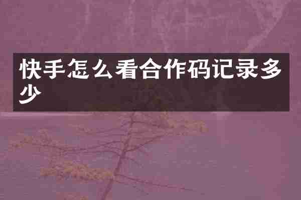 快手怎么看合作码记录多少