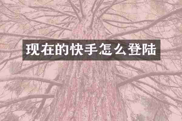 现在的快手怎么登陆