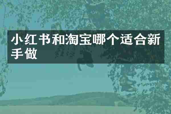 小红书和淘宝哪个适合新手做