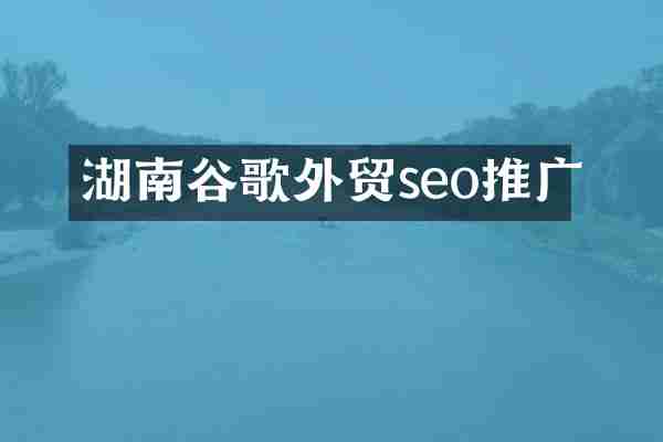 湖南谷歌外贸seo推广