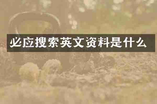 必应搜索英文资料是什么