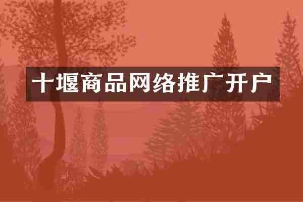 十堰商品网络推广开户