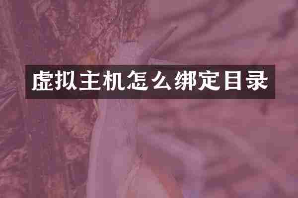 虚拟主机怎么绑定目录