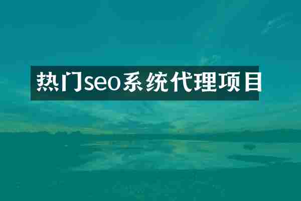 热门seo系统代理项目