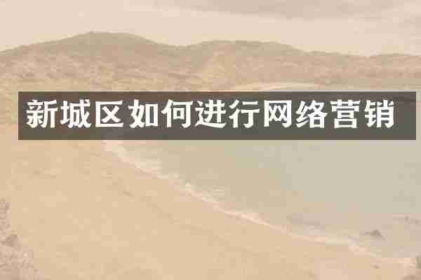 新城区如何进行网络营销