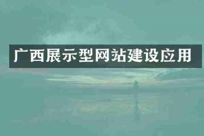 广西展示型网站建设应用