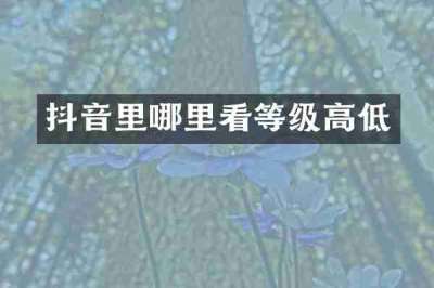 抖音里哪里看等级高低