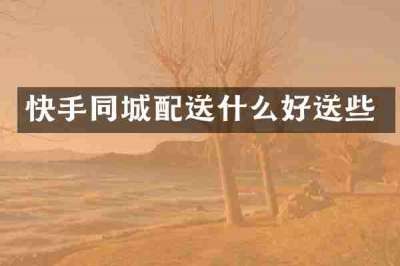 快手同城配送什么好送些