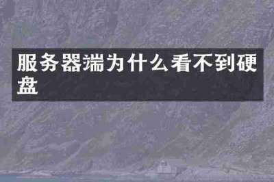 服务器端为什么看不到硬盘