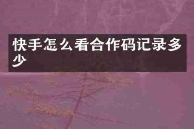 快手怎么看合作码记录多少