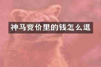 神马竞价里的钱怎么退