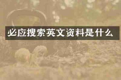 必应搜索英文资料是什么