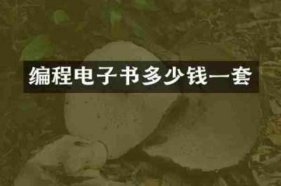 编程电子书多少钱一套