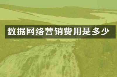 数据网络营销费用是多少