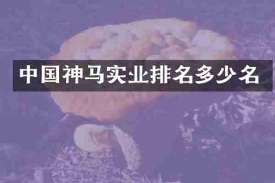 中国神马实业排名多少名
