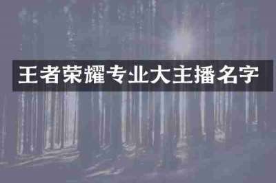 王者荣耀专业大主播名字