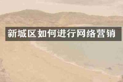 新城区如何进行网络营销