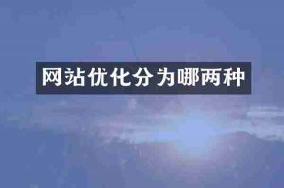 网站优化分为哪两种