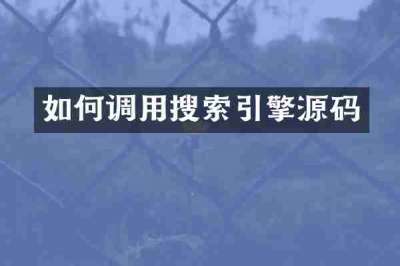 如何调用搜索引擎源码