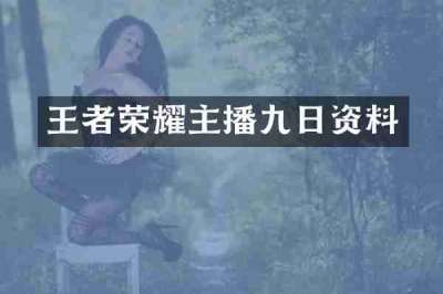 王者荣耀主播九日资料